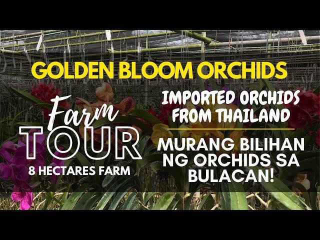 WELCOME TO OUR FARM!!! Golden Bloom Orchids Farm Tour