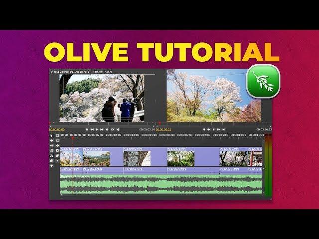 Intro to Video Editing with Olive: Free Video Editor Tutorial