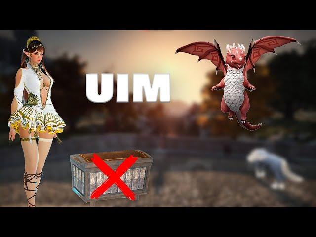 Increasing The Adorable Factor | Black Desert Ultimate Ironman