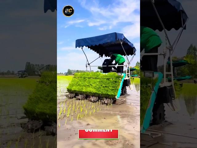 Rice cultivation machine  #kubota #shorts #agriculture