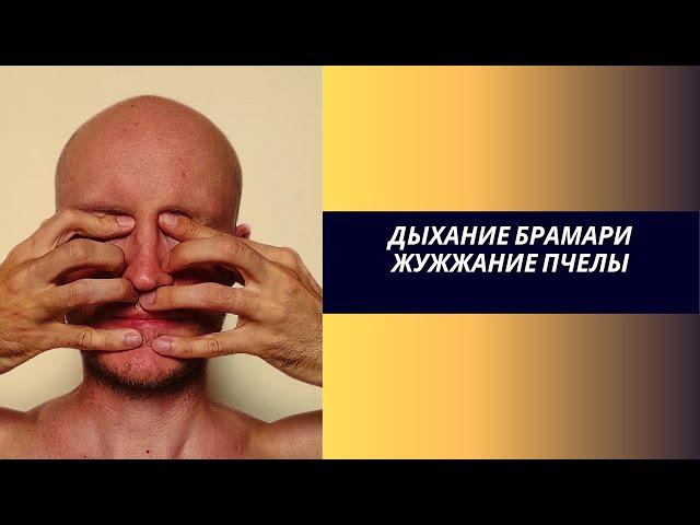 Брамари - жужжание пчелы