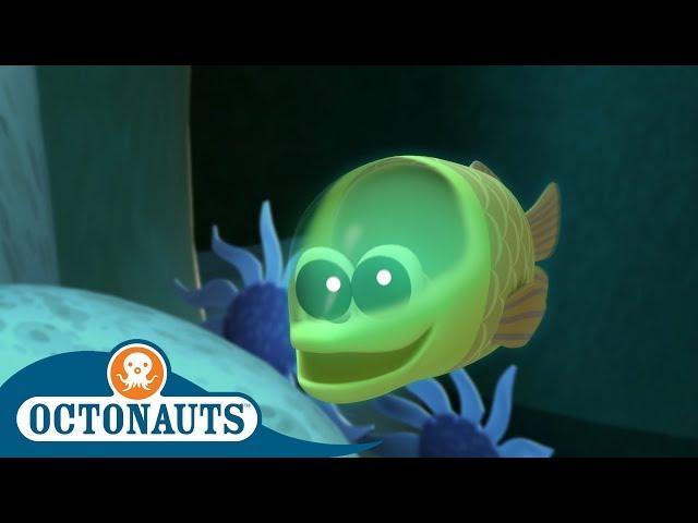 Octonauts - The Fish That Glows in the Dark | Full Episodes | Cartoons for Kids