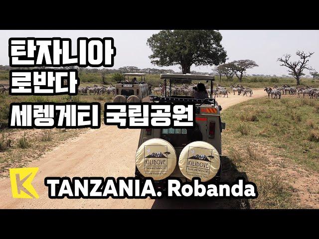 탄자니아 여행-로반다 [Tanzania Travel-Robanda] 세렝게티 국립공원/Serengeti National Park/Lodge/Hot-air balloon