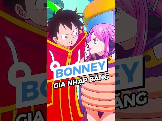 Liệu Bonney có gia nhập băng Mũ Rơm? #shorts #anime #onepiece #luffy #bonney