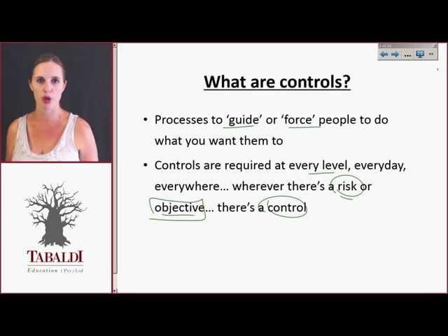 AUE2602 - Topic 1 - What are Internal Controls?