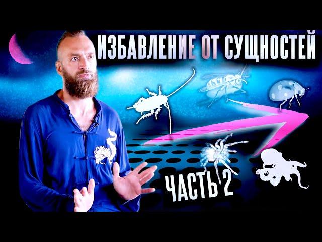 Астральные сущности #2: Как распознать и избавиться? Может ли быть заражен просветленный?