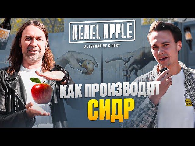 Как производят сидр | обзор сидрерии REBEL APPLE – от яблока до бутылки