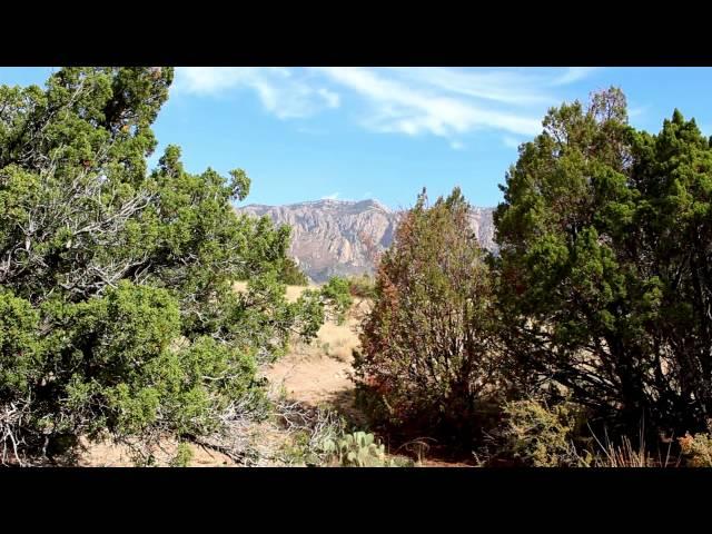 The ABQ Cult Project