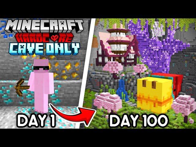 I Survived 100 Days in a Cave Only World in Minecraft Hardcore