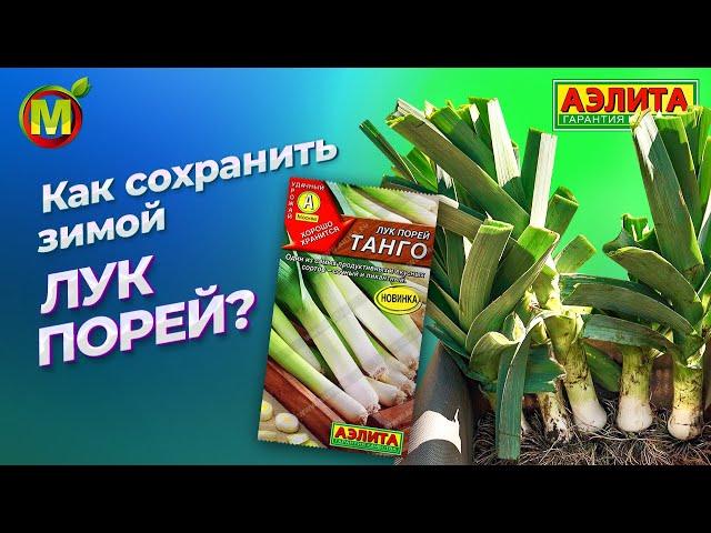 КАК СОХРАНИТЬ ЛУК ПОРЕЙ НА ЗИМУ?