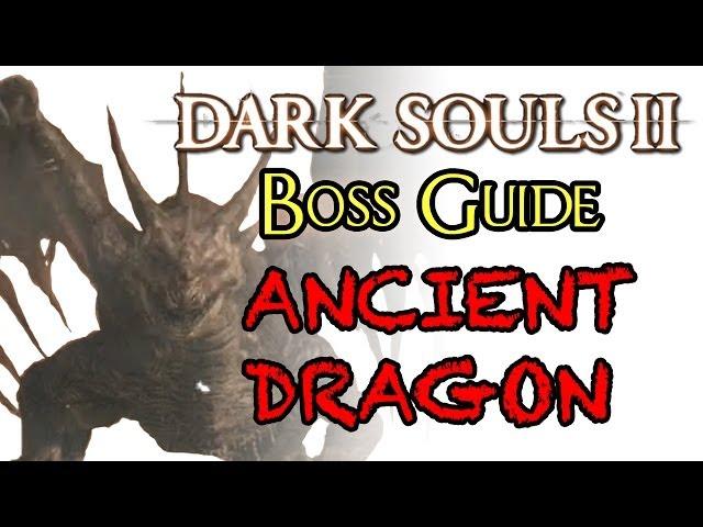 Dark Souls 2 Boss Guide: Ancient Dragon