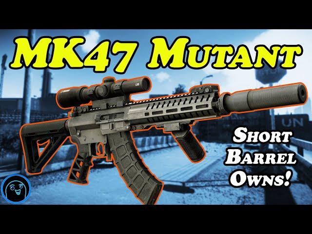 MK47 Mutant - Highlights 12.11 - Escape from Tarkov