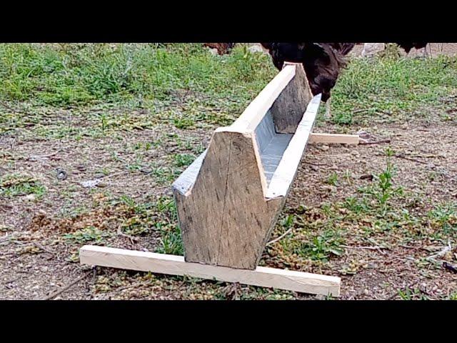 Zero Waste Chicken Feeder (Why There Is No Feeds Spillages)