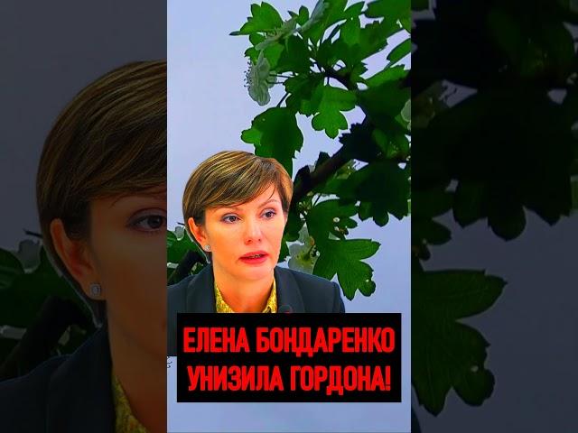  ЕЛЕНА БОНДАРЕНКО УНИЗИЛА ГОРДОНА НА ВСЮ УКРАИНУ #бондаренко #еленабондаренко #гордон