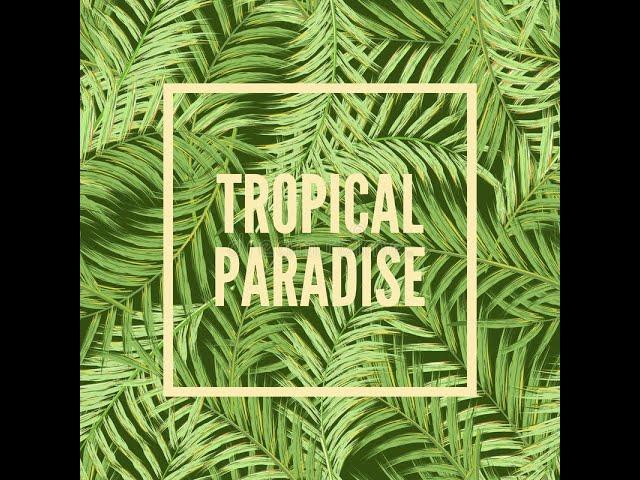 Tropical Tech House- Dj Set