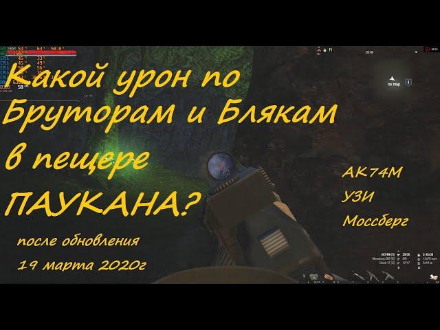 Сталкер Онлайн: Краткий отчет о походе в пещеру Паукана