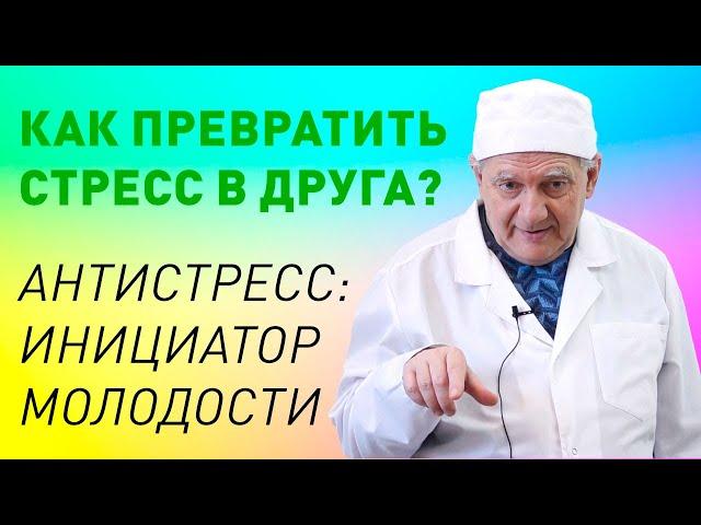 АнтиСтресс, как инициатор молодости. Здоровье с доктором Алименко А.Н.