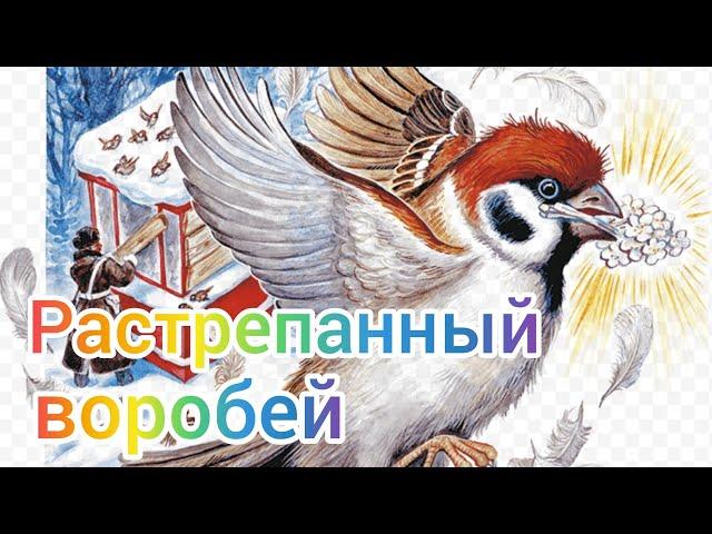 Краткий пересказ рассказа  Растрепанный воробей.  Аудиокнига.