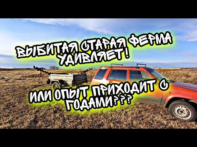 КОГДА ЖЕ ОН КОНЧИТСЯ??? Копаю на одной и той же ферме уже ДВА ГОДА! А металл все не кончается! #коп