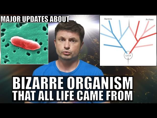 Major Discoveries About LUCA - Organism All Life Evolved From