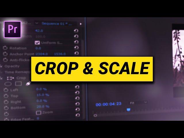 How to CROP & SCALE (Premiere Pro Tutorial)