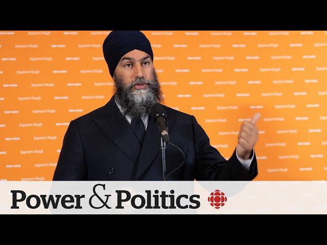 Singh won't say if NDP climate plan will include consumer carbon tax | Power Panel