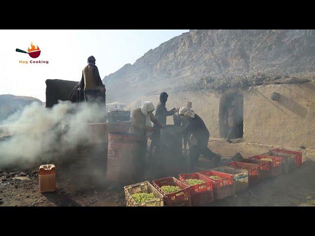 Traditional foods How to make Dry Grape  - Golden Raisins Making Processing.