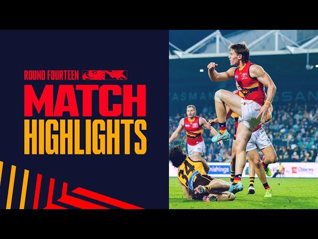 Highlights R14: v Hawthorn