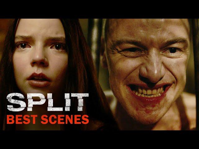 Split's Best Scenes