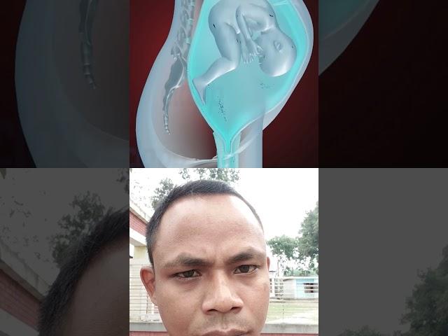 Fetus coming in to birth position(3d animation) #clapp #classroom application #clapp education  #