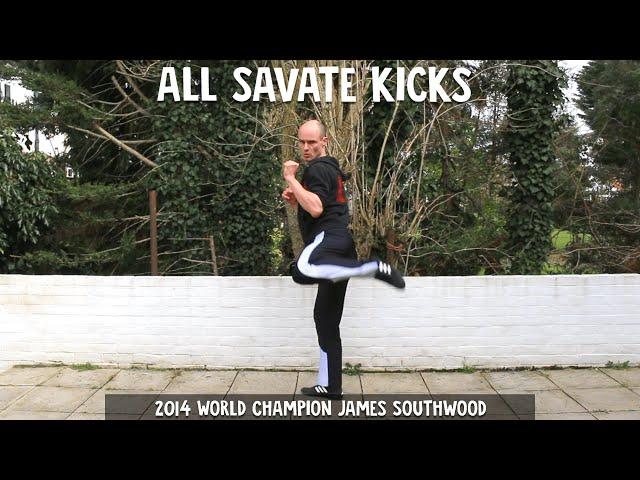 All the Savate kicks (and their names).