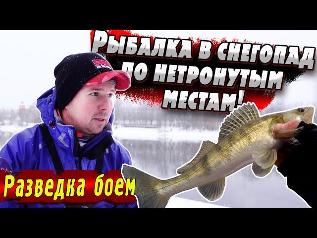 Зимний Спиннинг | Москва-река | Денис Вихров