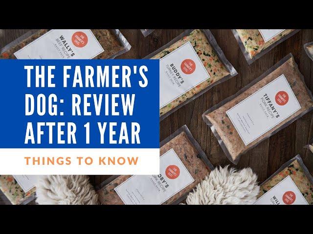 The Farmer's Dog: Things to Know & Review After One Year | Fresh Dog Food