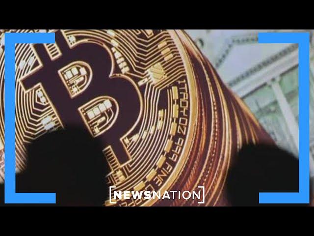 Trump's 'crypto czar' would regulate the digital currency: Financial planner | Morning in America