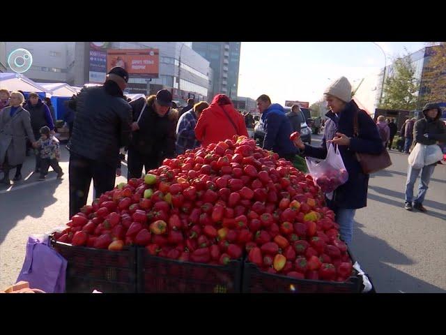 Большая осенняя ярмарка прошла в Новосибирске