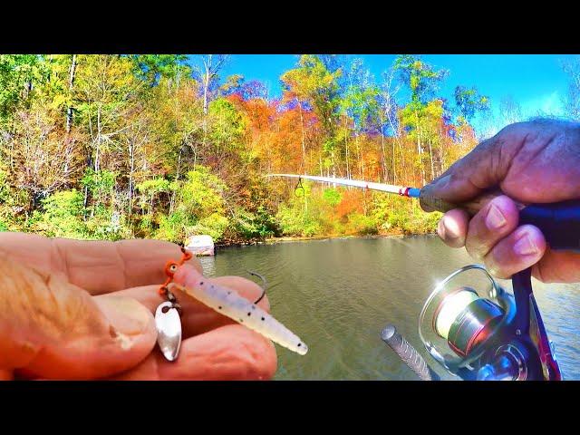 Why THIS Crappie Fishing Bait Catches So MANY Crappie!