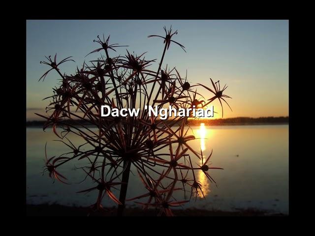 Eve Goodman - Dacw 'Nghariad [Welsh folk song]