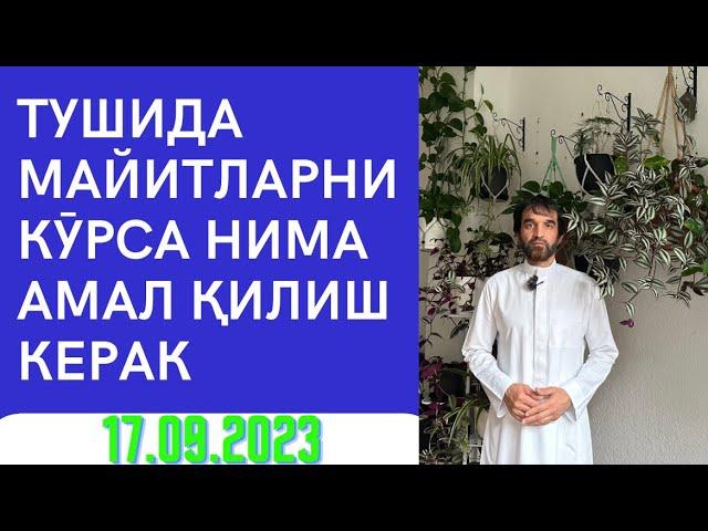 Долзарб Мавзу Майитларни тушда кӯрсаз нима қилиш керак