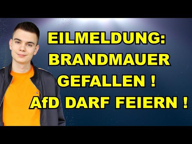 EIL: Brandmauer GEFALLEN! AfD DARF FEIERN!