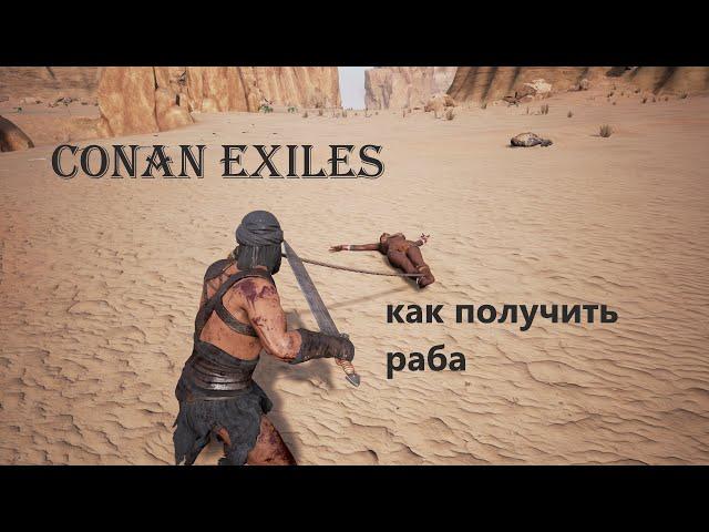 Conan Exiles (как получить раба)