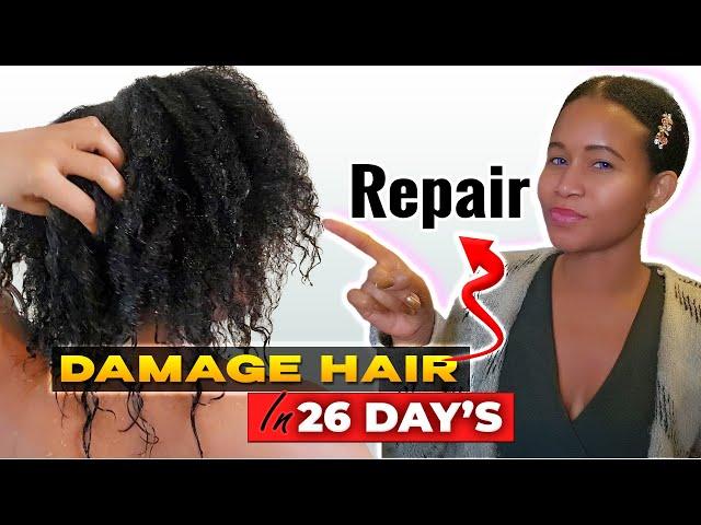 Transforming Heat-Damaged Hair: My Ultimate Repair Journey! | Selina Zinchuk