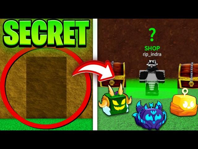 All SECRETS & GLITCHES In Blox Fruits! (Roblox)