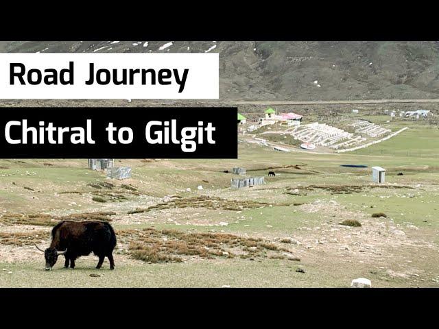 Chitral to Gilgit Road Journey | Chitral to Gilgit by Shandur Pass, Booni, Mastuj, Phander & Gupis