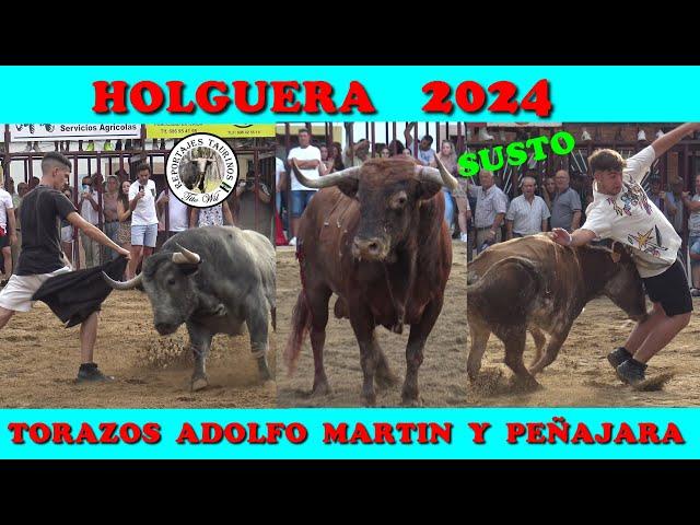 HOLGUERA TORAZOS DE ADOLFO MARTIN Y PEÑAJARA Y UNA VACA 2024 #toros #bull #fiesta #tradiciones