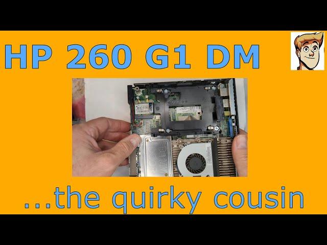 HP 260 G1 Mini/DM Review/Adventures  - The Quirky Cousin