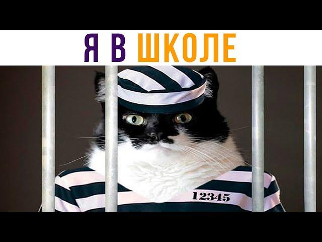 Школьные приколы. Настоящий АД!!!) Приколы | Мемозг 666