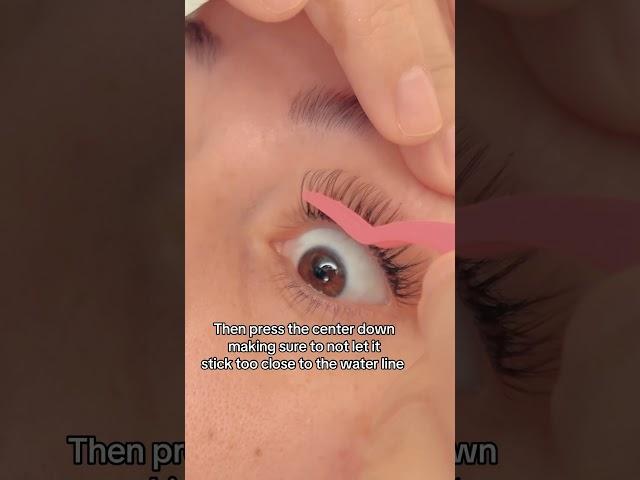 #lashes #lashtrends #lashtutorial