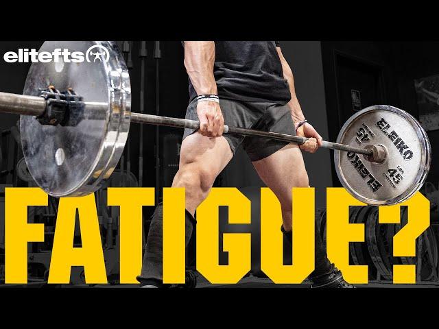 You’re Fatigued & We Know Why (Take Control of Your Fatigue)