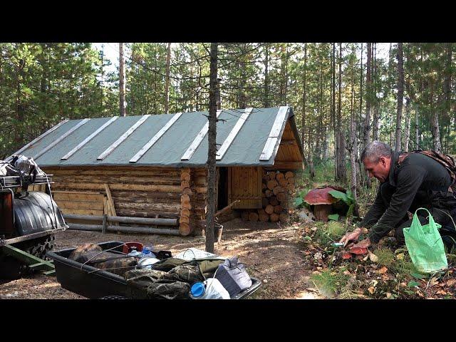 Отпуск в охотничьей избушке. Начало.