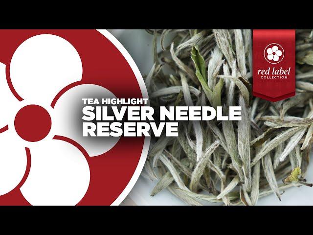 SILVER NEEDLE RESERVE - Our Rarest White Tea